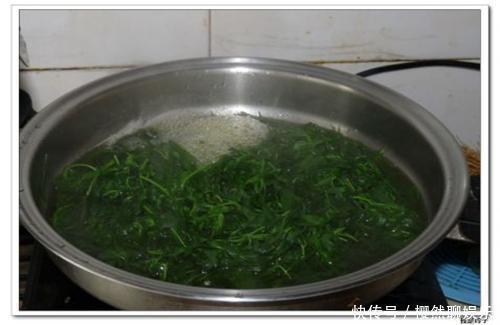 血压|七月,这个野菜随处可见,清热去暑降血压,不懂的人把它当草