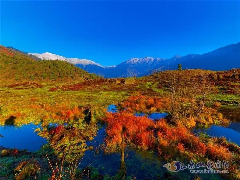 乐山|这个藏在乐山的小瑞士，你get到没有？