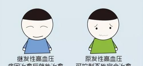 原发性高血压|高血压不要总依赖降压药,医生:做好这6点,不用吃药轻松控血压