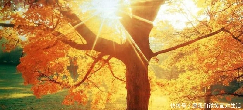 一首不应该忽略的唐诗,通篇描写得极为凄美,写出了诗意的秋天!