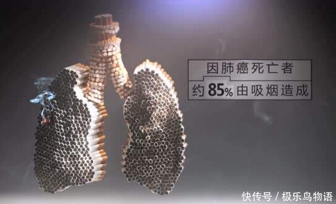 希望|“这个岁数”前若能把烟戒掉,或许肺还有希望恢复,早知道早受益