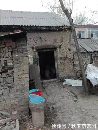 一户一宅|宅基地确权实行“一户一宅”多少人算一户?多大面积算一宅?