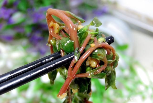 明儿|这野菜是“天然消炎药”,夏天遇到别放过,常吃食疗效果就是好