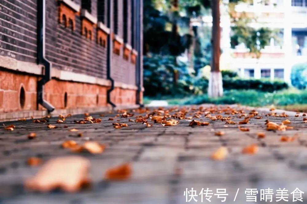 叶飘香@这首秋日宋词,78个字,全词没有一个“思”字,却字字是“思”