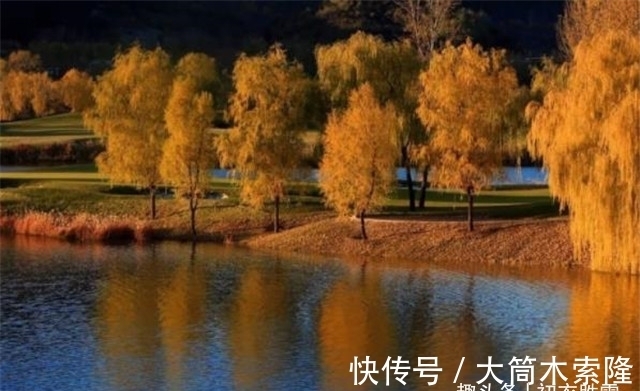 秋天!晚秋秋水诗词五首:秋水才深四五尺,野航恰受两三人