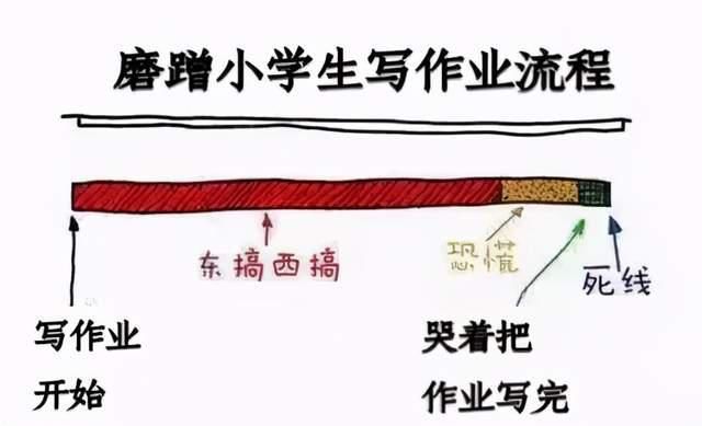 小学生|全国小学生写作业统一“磨洋工”，家长越催越慢怎么办？