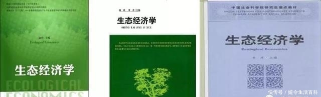茶人分享:生态经济学