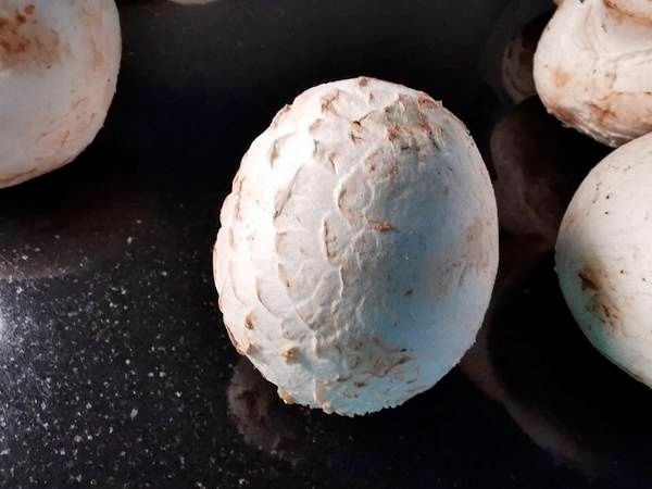 拳头大的口蘑，就应该这么吃，汤汁都是精华美味