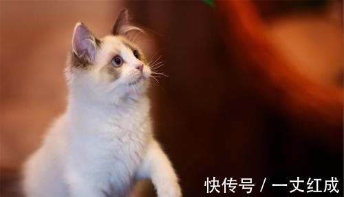 |幽默笑话:哥们几个小聚正好赶上教师节,闲聊中我问他们