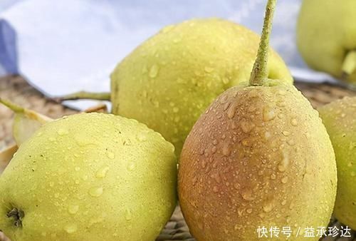 貢菜|會吃的人最健康,3種食物不錯過,排毒養顏,有益健康!