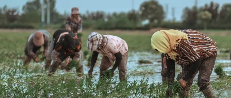 小诗|古人的小诗,美如滋滋流水润人间