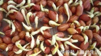 发芽|4种蔬菜发芽后,不仅没毒,营养还翻倍,可以放心吃