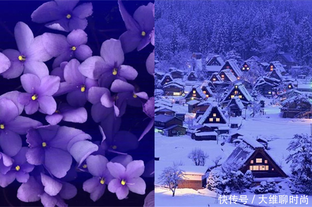 紫罗兰色很友好,亚洲人黄皮肤穿了尤其会显白,春天穿搭更浪漫