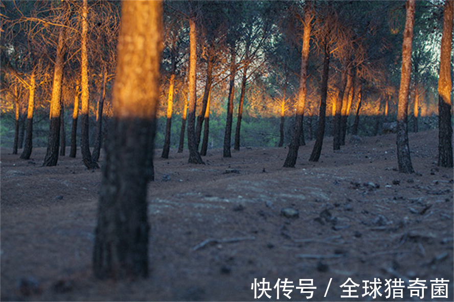 摄影|35张“活久见”的完美图片,强迫症瞬间被治愈了