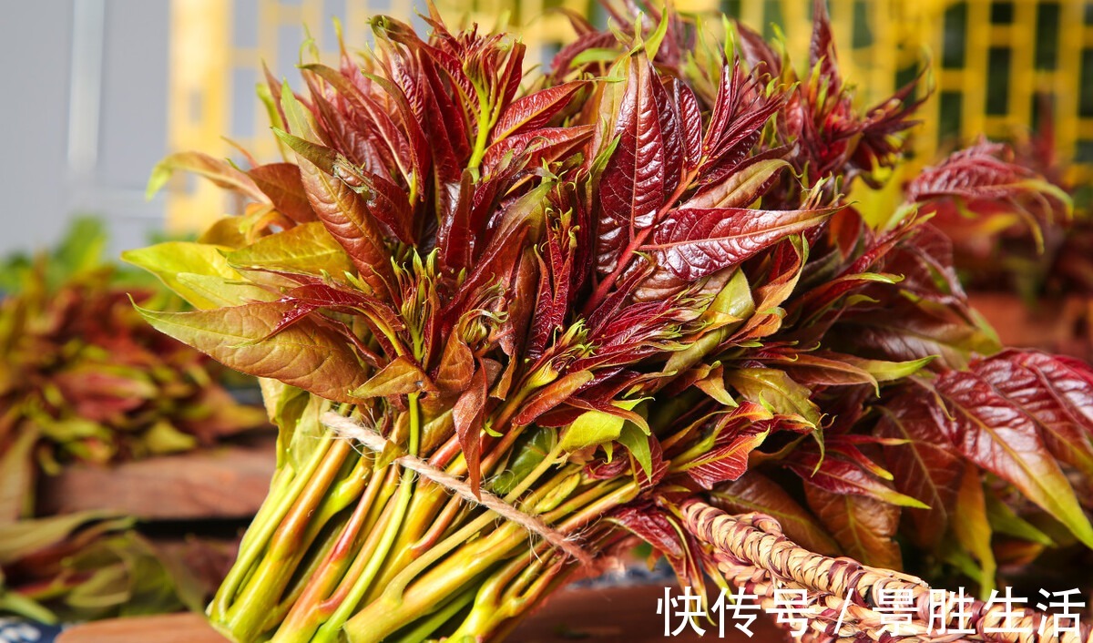 蒸窝头|遇到树上的这3种菜别错过，野味十足，鲜美软嫩，错过就没有了