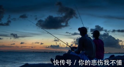 鱼饵|夜钓最好的机会来了!18条经验助你成功爆护!