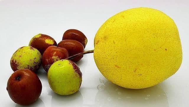 大明朝|历史揭秘：为何马皇后送刘伯温一梨两枣后，刘伯温就告老还乡了？