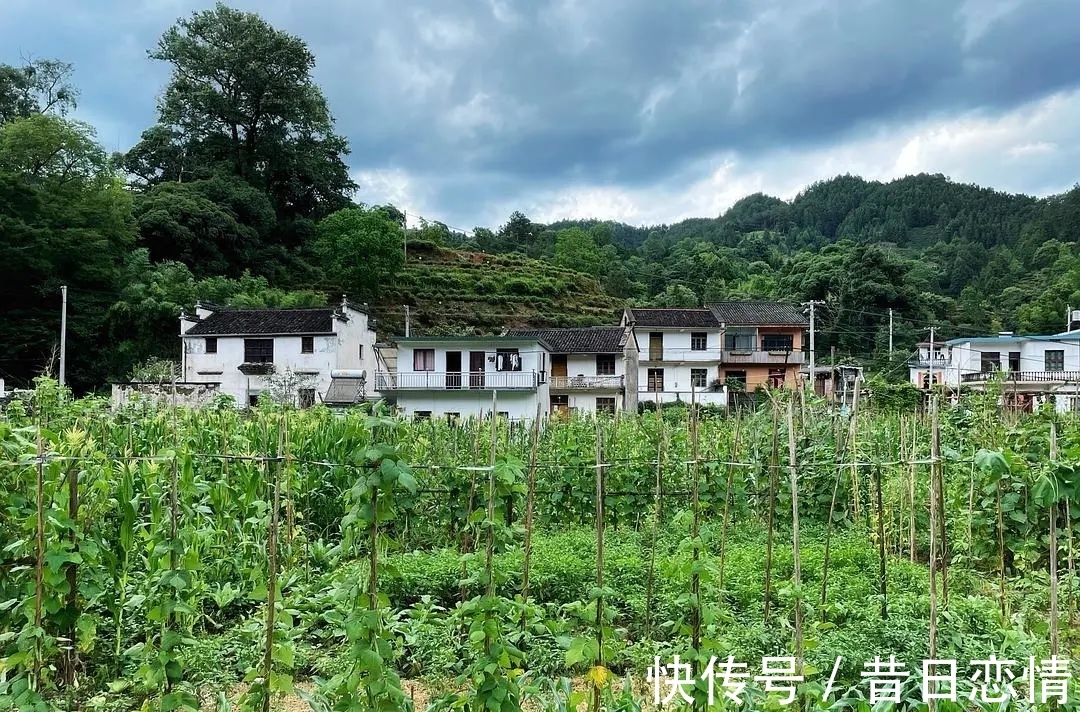 诗句|当年背到头秃的古诗,瞬间读懂了……