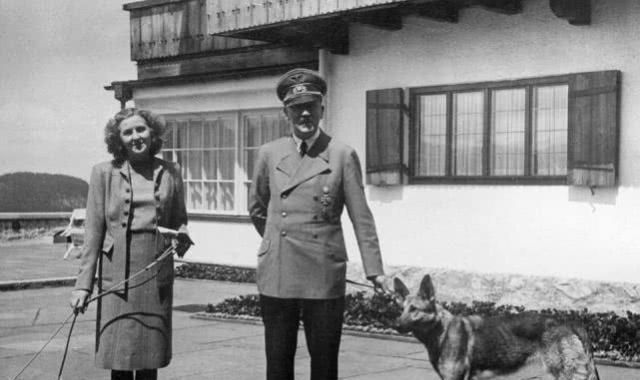 忠于|希特勒的情妇和爱犬最忠于他的一人一狗,为何双双服毒死