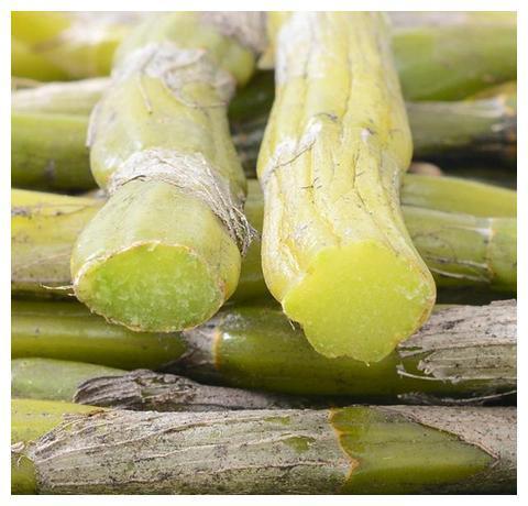 美容养颜|女人再节俭6种碱性食物也要吃,补充天然雌激素,防早更显年轻