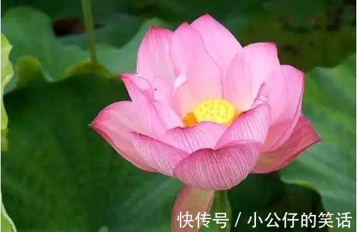 嵌字诗|今天9月9日，如此才华横溢的诗，你见过吗？绝！太绝了！