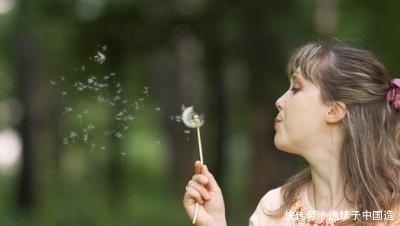 一味蒲公英，治病大功效！