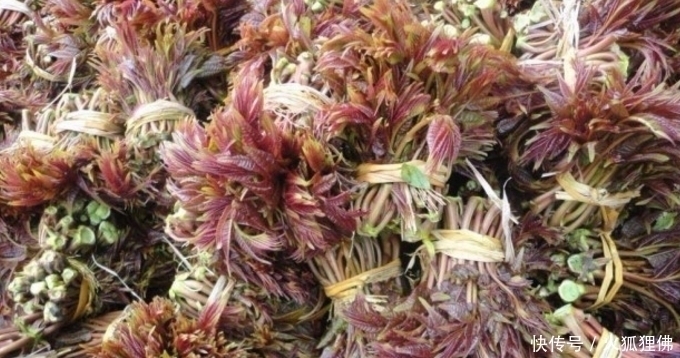 这几种野味是我们小时候的回忆,到现在看到还口水直流,你吃过吗
