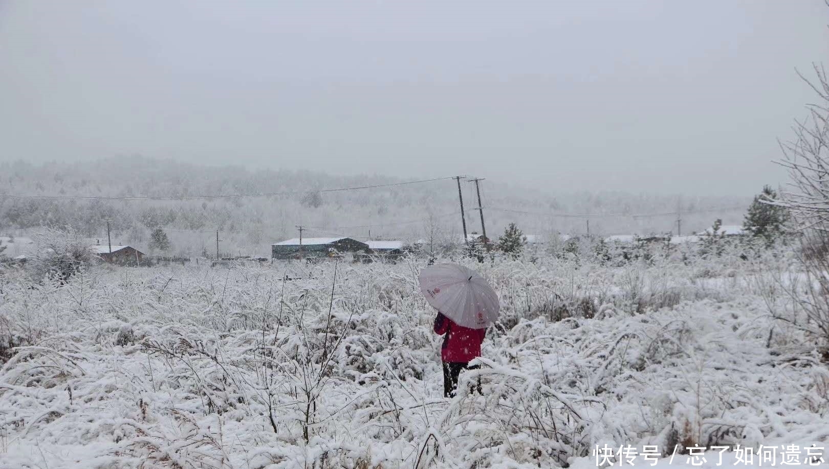 谷雨时节请到塔河来看雪