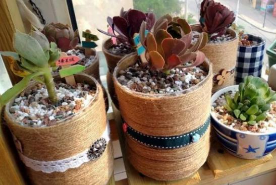 怎么将塑料瓶“一步步”打造成漂亮花盆?