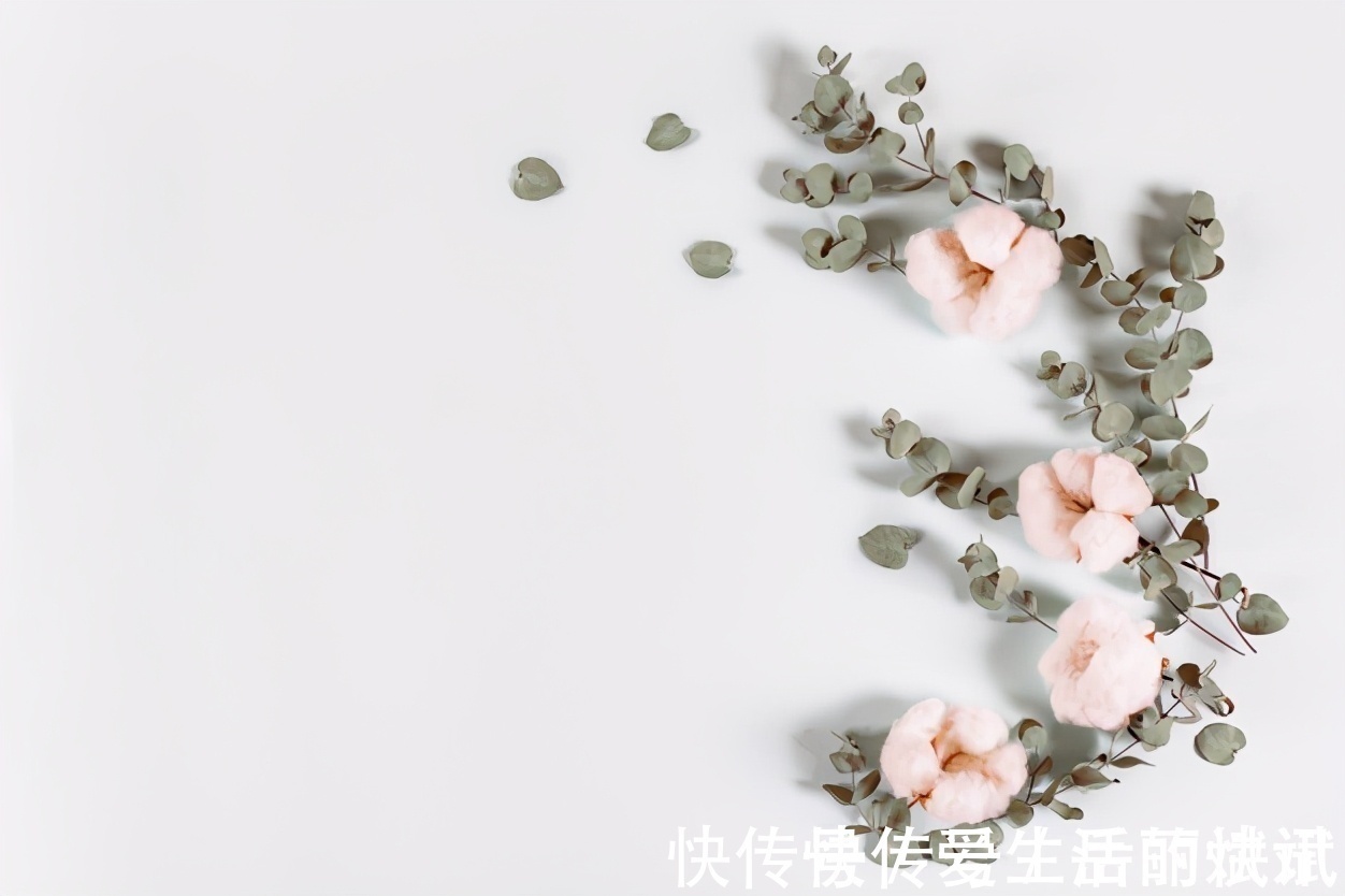 三十而已#读书的女人和不读书的女人,有哪些本质的差别