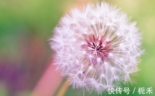 人缘|从本周六开始,五福临门,人缘爆棚,事业兴旺的三大星座