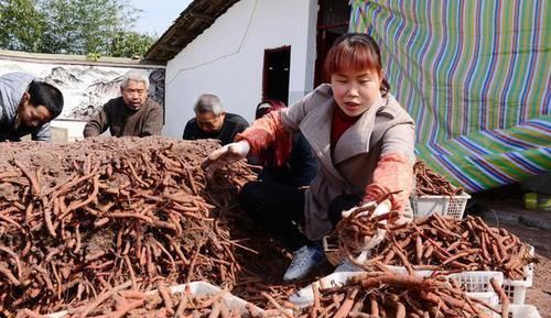 医生|丹参片能不能长期服清理血管垃圾？看完医生这篇文章就知道了