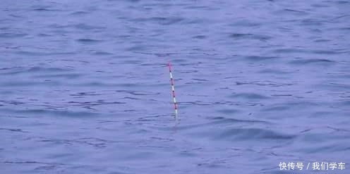 钓浮不会调漂没关系,这两种方法,会操作、懂思路就能上鱼