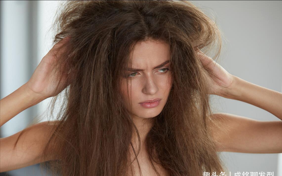 柔顺|头发发质是沙发,干枯毛躁蓬松杂乱,这种发质该如何养护?