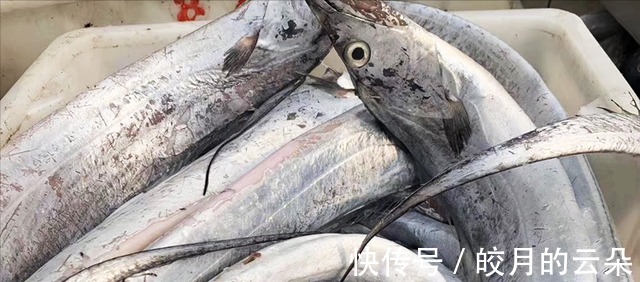 段儿|买带鱼,牢记“4买4不买”,条条肉嫩饱满,鱼腥味儿小,好吃新鲜!