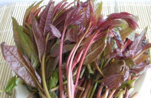 韭菜|春季最有“名气”的5种菜，懂行的都会吃，提高自己免疫力