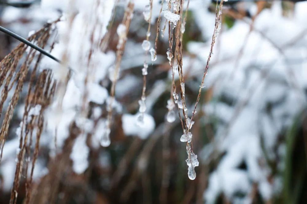 秘密|这个秘密只告诉你，刷爆朋友圈的广元雪景，都在这里了！