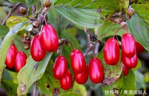 想长寿要先会吃,3种食物不可少,排毒养颜,身体棒棒哒