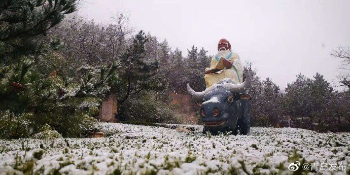 崂山|青岛·风情 崂山迎来12月初雪！