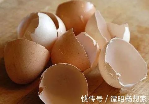 维生素b|每天坚持吃一个煮鸡蛋,长寿不会远离你,但牢记“2大问题”!