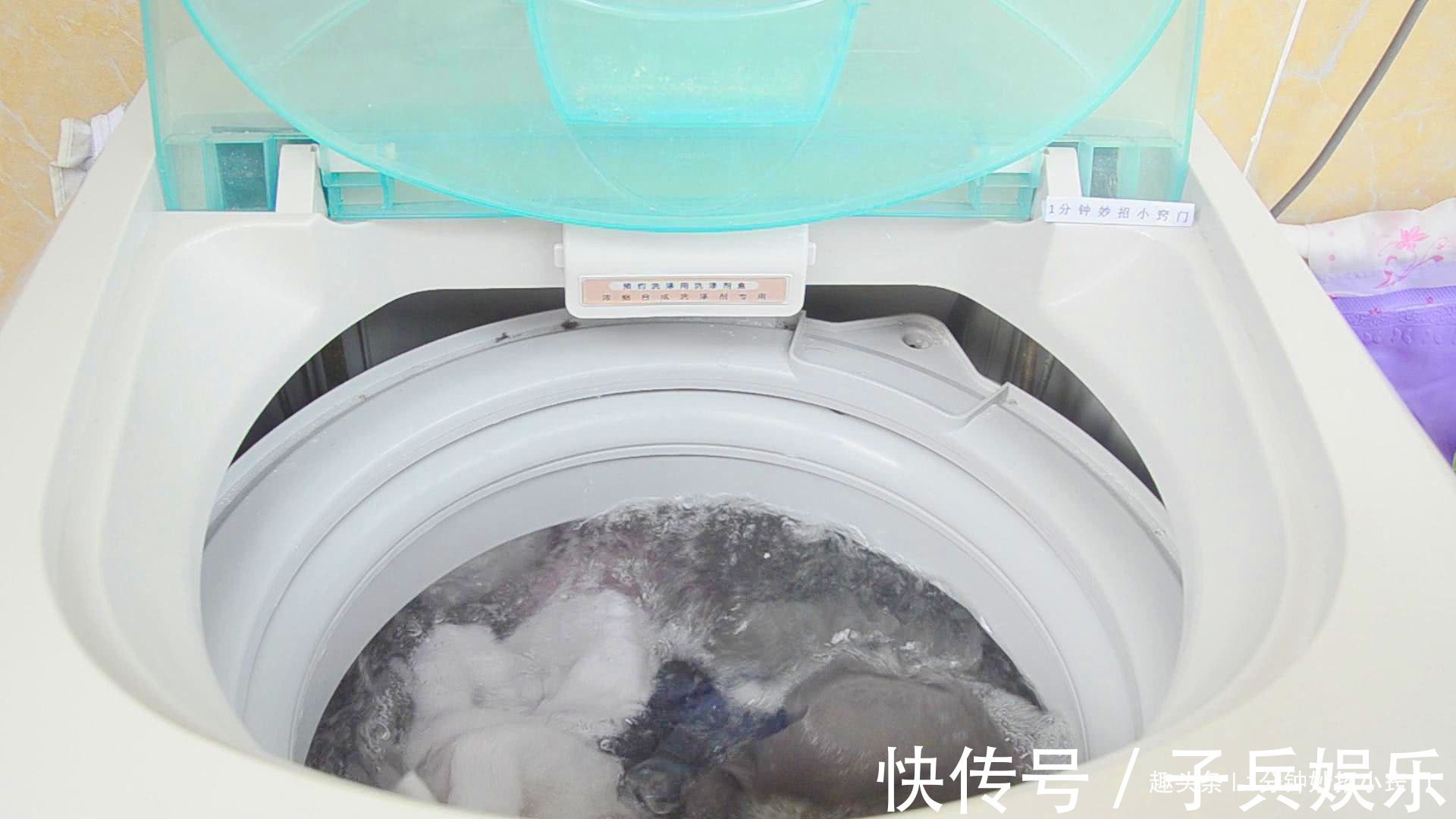 溶解|洗衣服时不要只放洗衣粉，教你一个诀窍，洗完后跟新买的一样干净