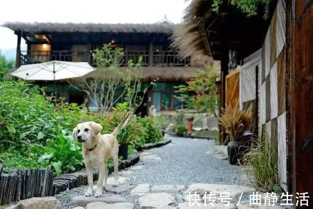 等我老了以后,找个小院陪你养花种菜!