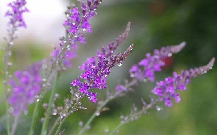 事實(shí)上，看看你家的這個(gè)地方，就知道你過得好不好，沒必要假裝