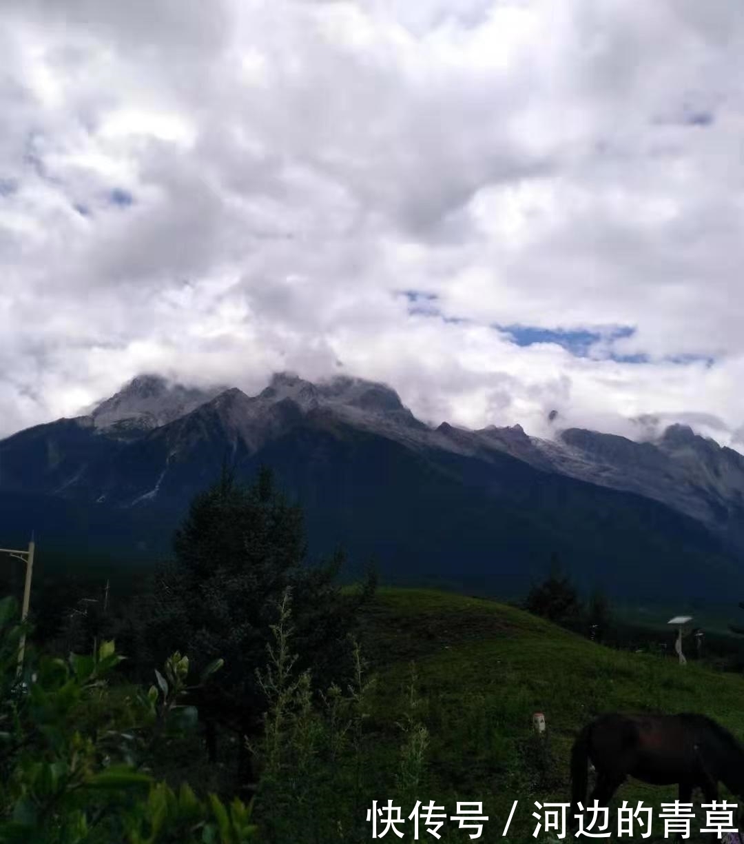 创作者|抄袭,伪作,侵权——原创作者要维权