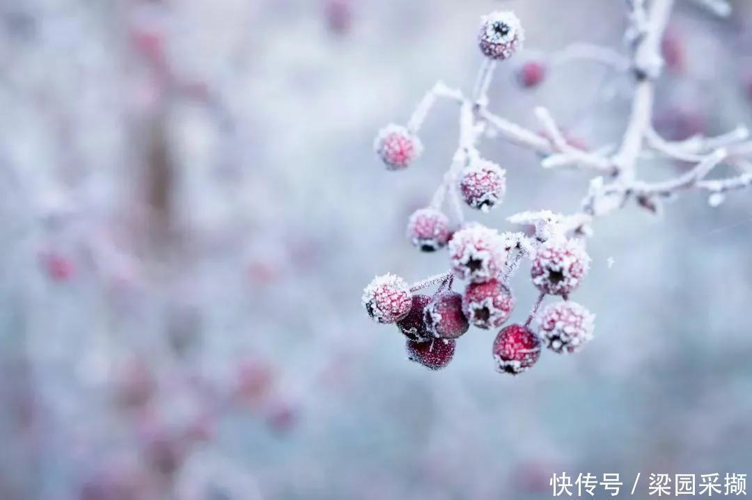 幽梦|散文:红尘静好,一帘幽梦