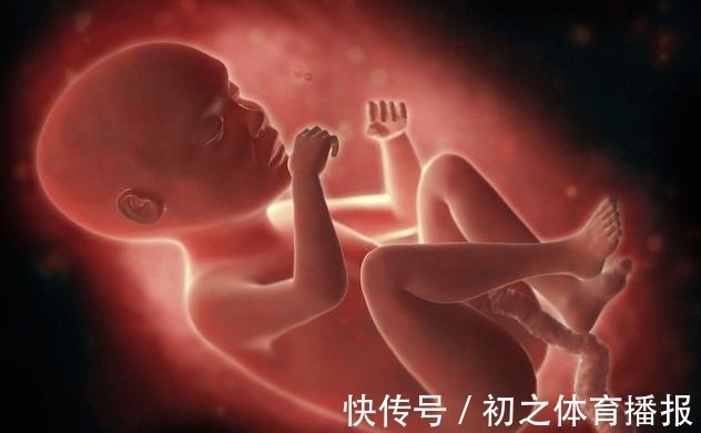 y染色体|胎儿性别是受精那一刻就决定了,还是后来才决定的?