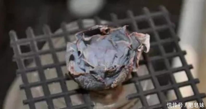 水培多肉|多肉还可水培?多肉土培转水培,快速生根方法全在这儿~