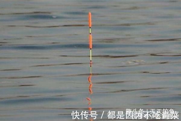 太空豆|滑漂钓法钓组搭配方法，夏季带漂远投钓大鱼，野钓最实用钓法