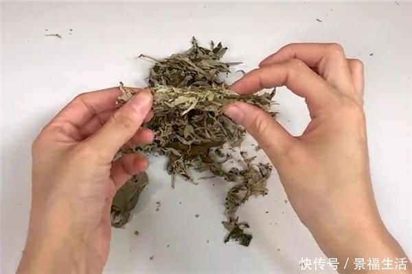 艾草|过完端午节，赶快把门口的艾草收回来，现在知道不算晚，告诉家人