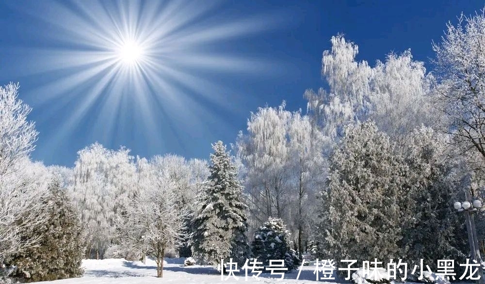 冬天$五首描写冬天的古诗,每一首都趣味横生,你会喜欢哪一首